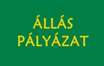 Pályázati kiírás - fejlesztő gyógypedagógus munkakör betöltésére (Móri Napsugár Óvoda)