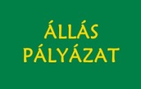 Pályázati kiírás - fejlesztő gyógypedagógus munkakör betöltésére (Móri Pitypang Óvoda)