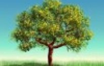 &quot;Egy család, egy fa&quot; faültetési akció