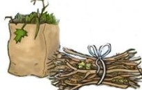 Zöldhulladék gyűjtési akció!