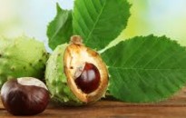 Lakossági tájékoztatás