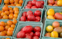 Tájékoztató Mór Városi Önkormányzat által fenntartott és üzemeltetett piac működtetéséről