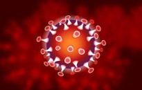 Felhívás - Reprezentatív felmérés a koronavírus fertőzöttségről