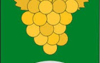 Felhívás - Mór Város Sportjáért elismerő cím adományozására