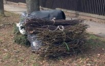 Zöldhulladék gyűjtési akció