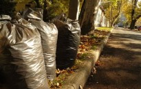 Zöldhulladék elszállítás