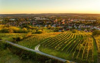 Felhívás borversenyre