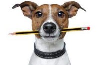 EBÖSSZEÍRÁS MÓR VÁROS KÖZIGAZGATÁSI TERÜLETÉN