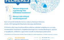 Tájékoztatás munkaerő-felmérésről