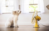 Tájékoztatás hőségriasztás meghosszabbításáról