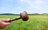 HIRDETMÉNY - Mór Városi Önkormányzat tulajdonában álló ingatlanok liciteljárás során történő hasznosítására (2024. február 1.)