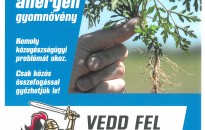 KEVESEBB PARLAGFŰ, TÖBB LEVEGŐ!