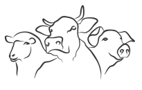 TÁJÉKOZTATÁS Ragadós száj- és körömfájás betegséggel kapcsolatos újabb információkról