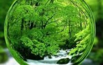 Tájékoztató a környezet állapotáról