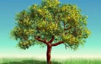 &quot;Egy család, egy fa&quot; faültetési akció