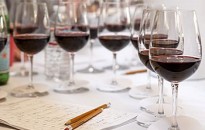 Szent György napi BORverseny felhívás