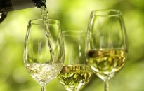 Lamberg pince felújítása - Lakossági kérdőív