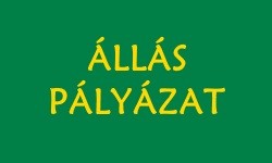 Pályázati kiírás - fejlesztő gyógypedagógus munkakör betöltésére (Móri Napsugár Óvoda)