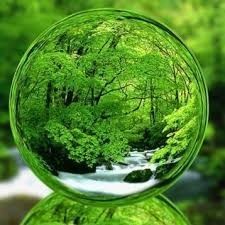 Tájékoztató a környezet állapotáról