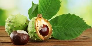 Lakossági tájékoztatás