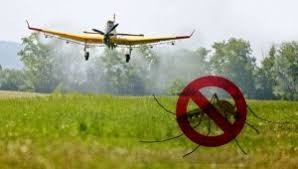 Lakossági Tájékoztatás földi szúnyoggyérítésről