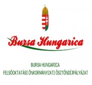 Bursa Hungarica Felsőoktatási Önkormányzati Ösztöndíjpályázat - "B" típusú pályázati kiírás