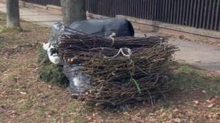 Zöldhulladék gyűjtési akció