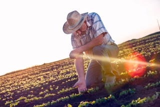 Tájékoztató mezőgazdasági összeírásról