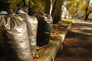 Zöldhulladék elszállítás