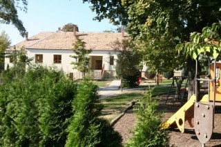 PÁLYÁZATI KIÍRÁS - a Móri Pitypang Óvoda intézményvezető munkakör betöltésére