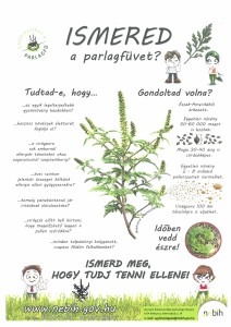 ISMERD MEG A PARLAGFÜVET, HOGY TUDJ TENNI ELLENE!