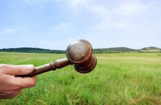 HIRDETMÉNY - Mór Városi Önkormányzat tulajdonában álló ingatlan liciteljárás során történő hasznosítására