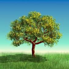 &quot;Egy család, egy fa&quot; faültetési akció