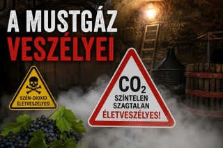A mustgáz veszélyei feliratú és tájékoztató kép