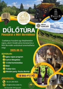 Dűlőtúra